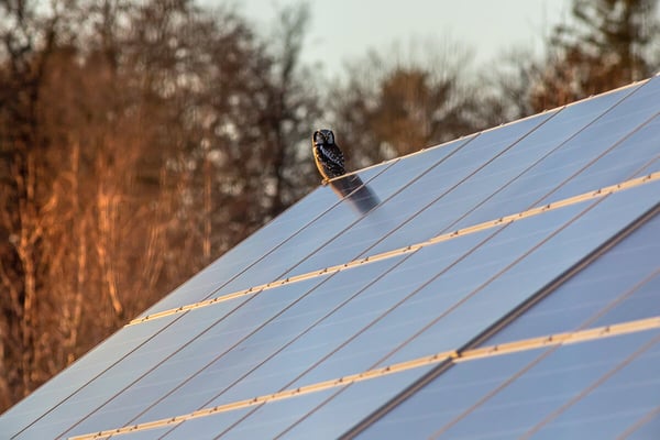 Prix des panneaux solaires