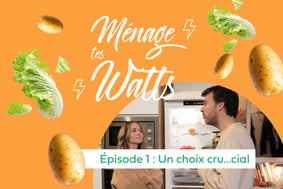 image-webserie-episode-1-menage-tes-watts-panneaux-solaires-pv-particuliers-hellio-1200x800 (1)