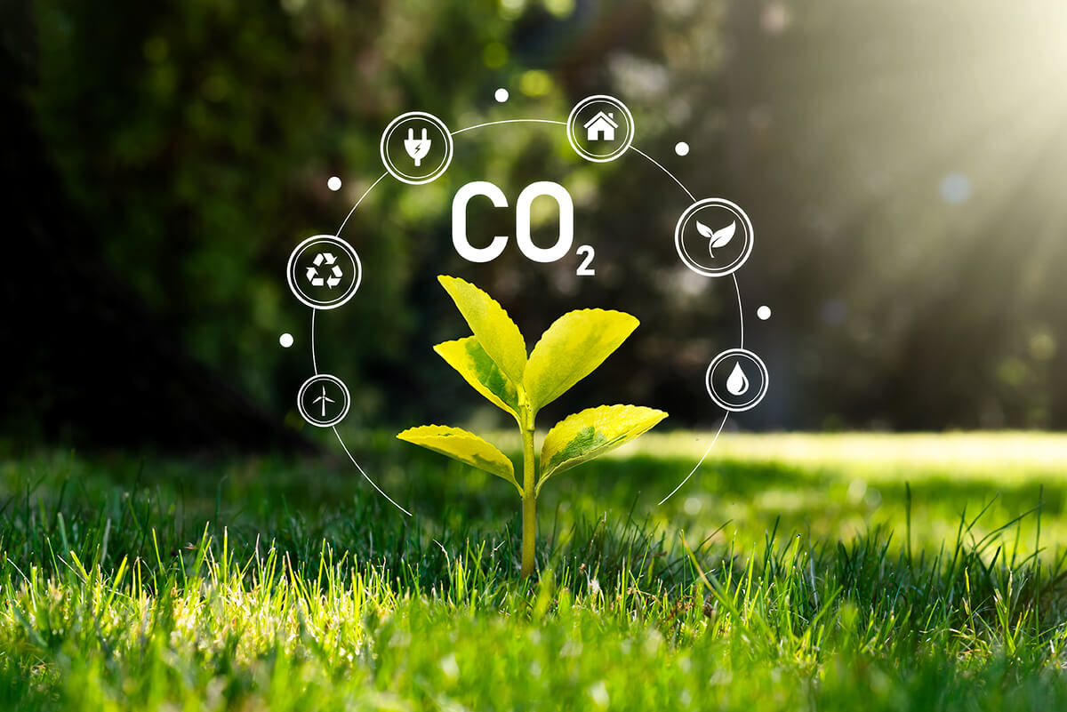 10 conseils pour réduire son empreinte carbone